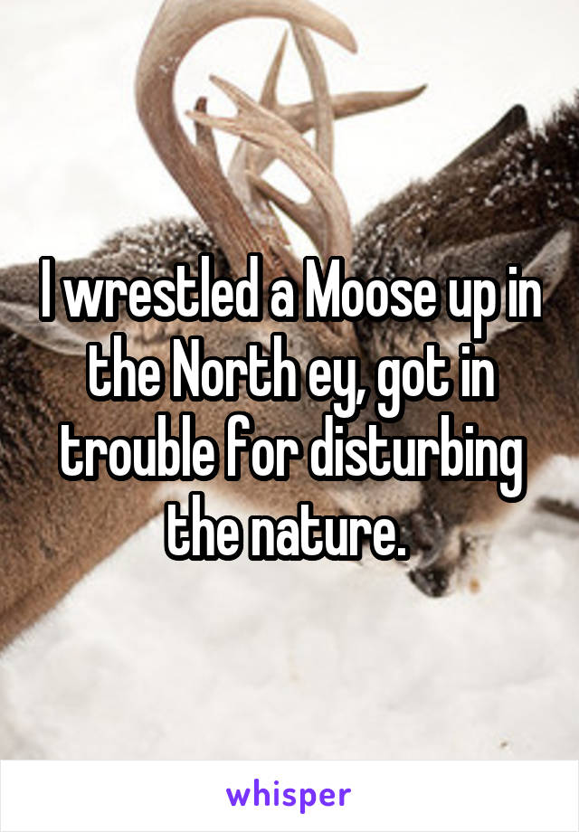 I wrestled a Moose up in the North ey, got in trouble for disturbing the nature. 
