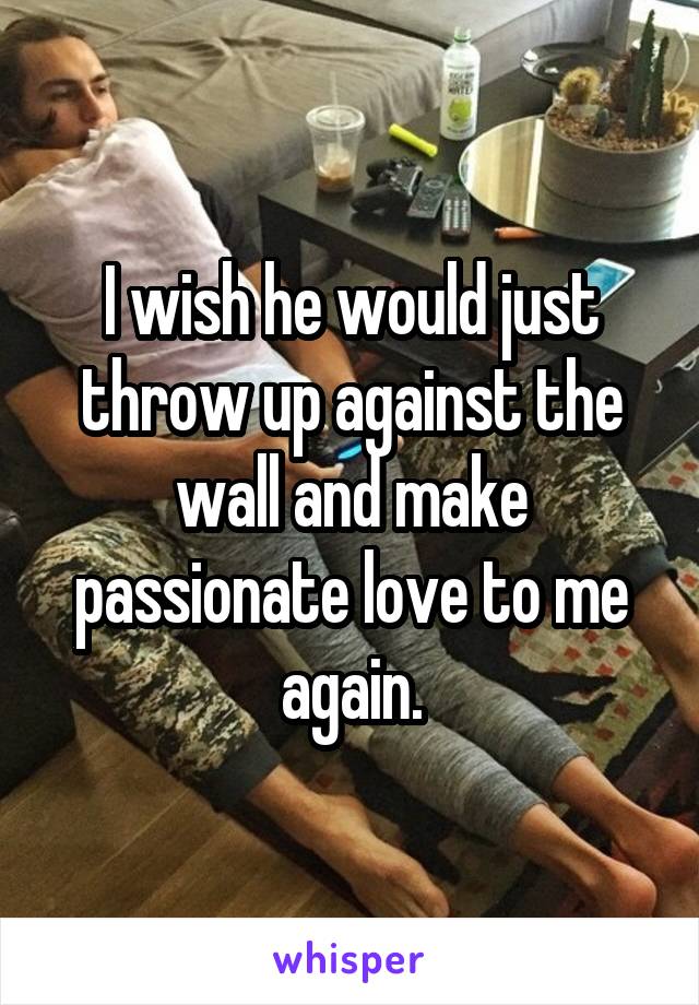 I wish he would just throw up against the wall and make passionate love to me again.