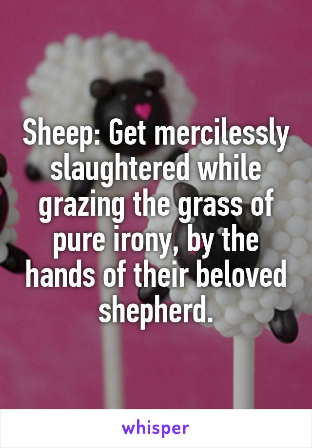 Sheep: Get mercilessly slaughtered while grazing the grass of pure irony, by the hands of their beloved shepherd.