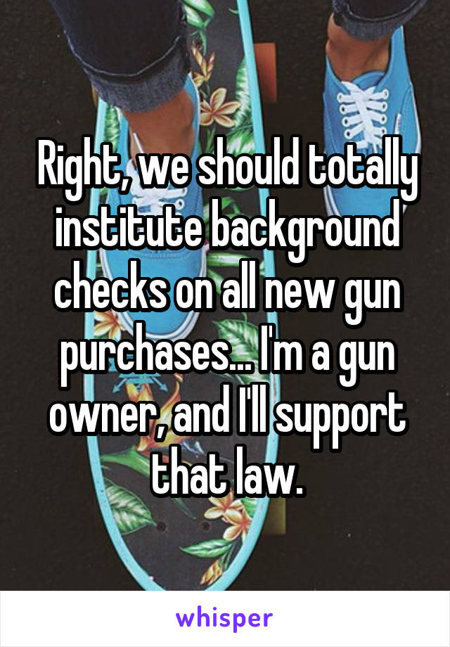 Right, we should totally institute background checks on all new gun purchases... I'm a gun owner, and I'll support that law.