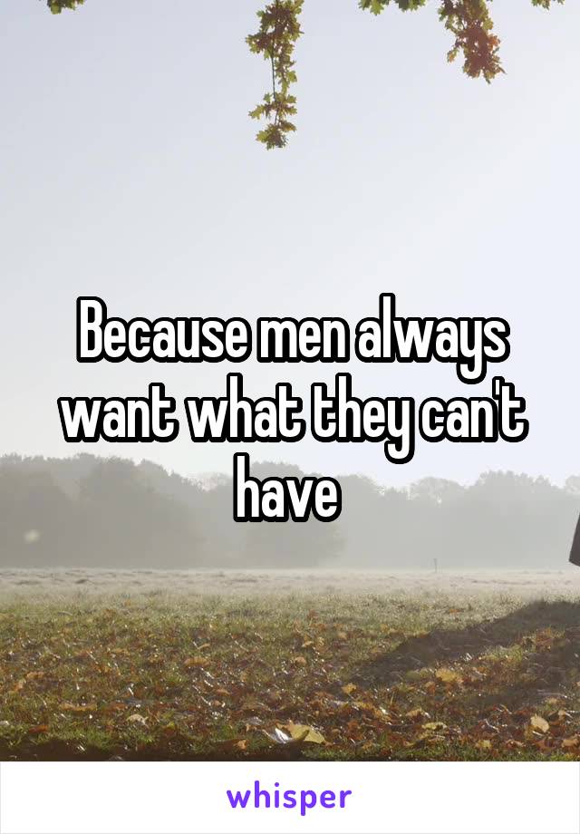 Because men always want what they can't have 