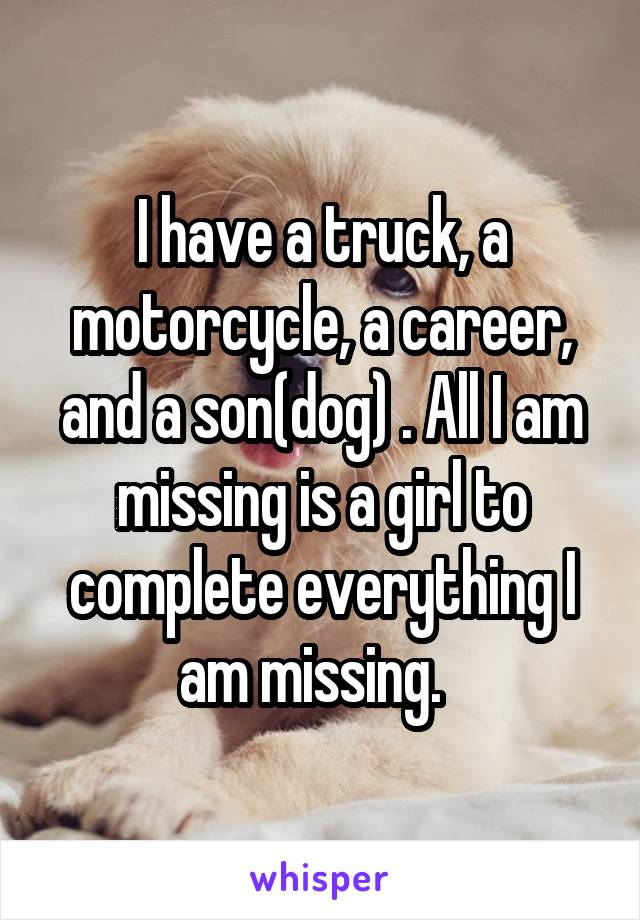 I have a truck, a motorcycle, a career, and a son(dog) . All I am missing is a girl to complete everything I am missing.  