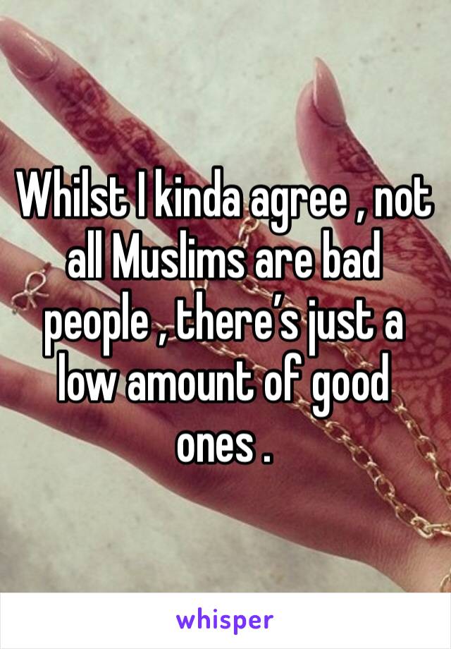 Whilst I kinda agree , not all Muslims are bad people , there’s just a low amount of good ones . 