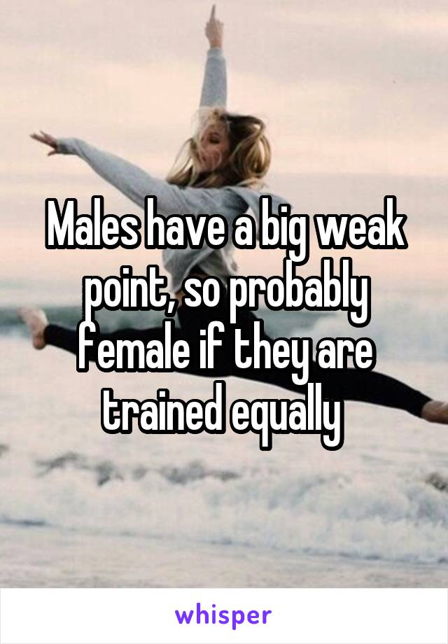 Males have a big weak point, so probably female if they are trained equally 