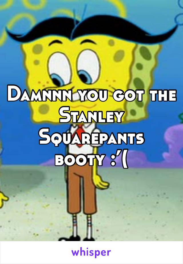 Damnnn you got the Stanley Squarepants booty :’(