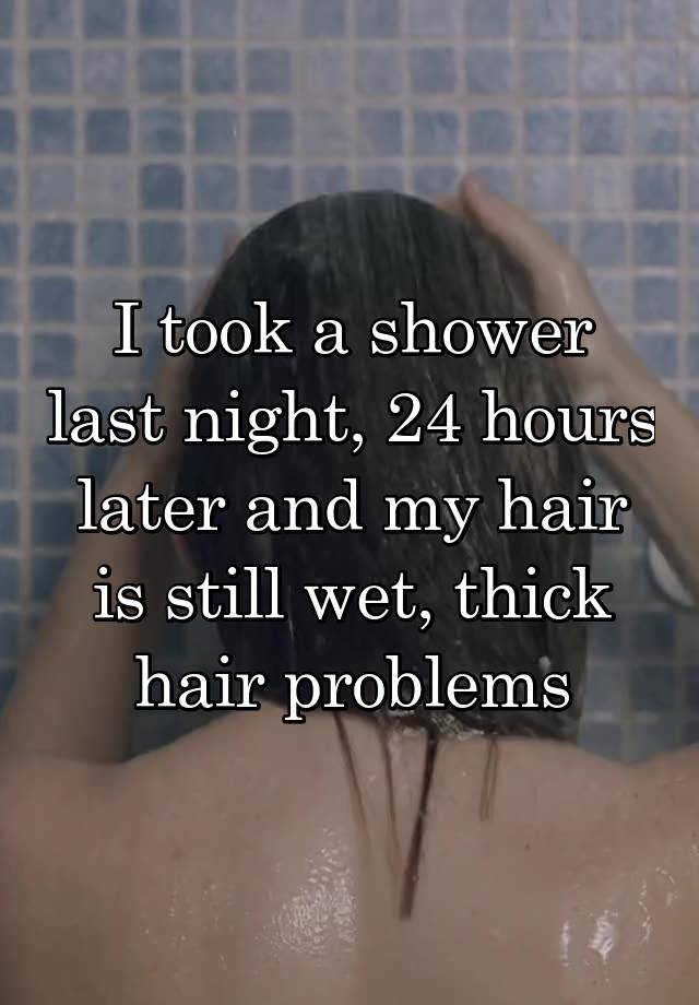 I took a shower last night, 24 hours later and my hair is still wet, thick hair problems