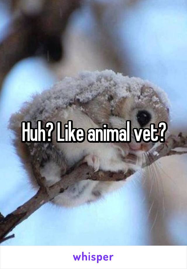 Huh? Like animal vet?