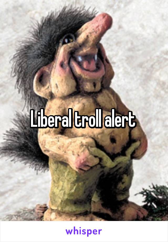 Liberal troll alert 