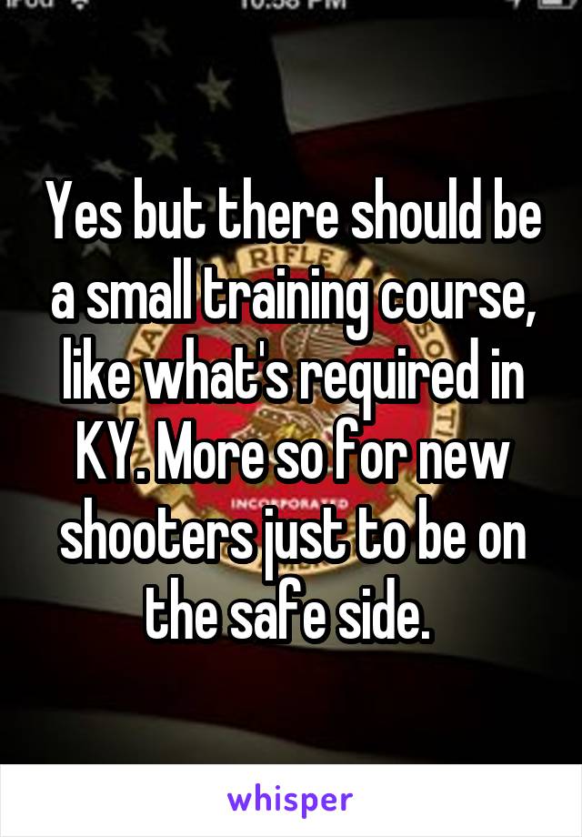 Yes but there should be a small training course, like what's required in KY. More so for new shooters just to be on the safe side. 