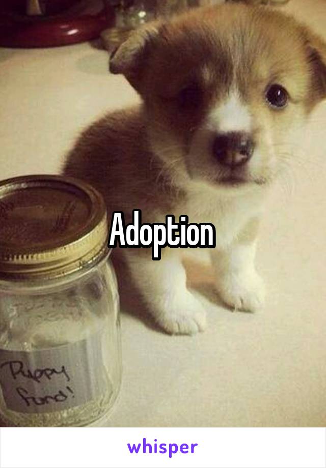 Adoption 