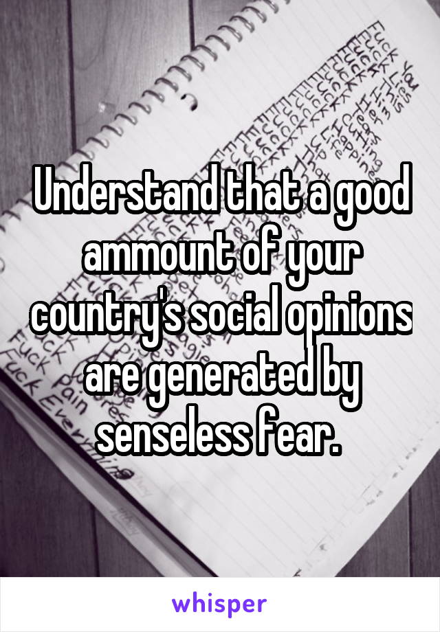 Understand that a good ammount of your country's social opinions are generated by senseless fear. 