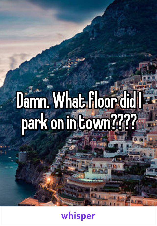 Damn. What floor did I park on in town????