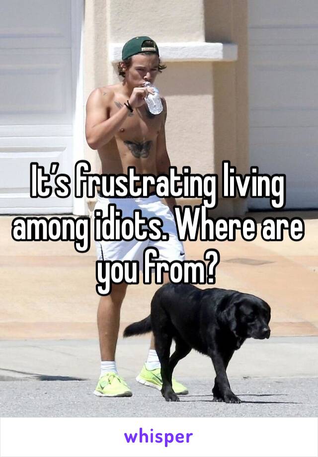 It’s frustrating living among idiots. Where are you from?