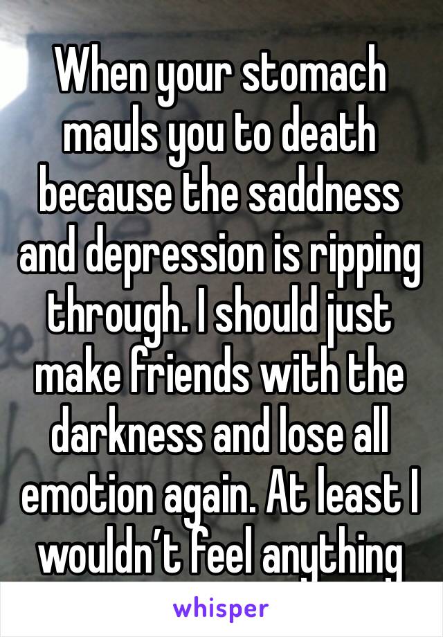 When your stomach mauls you to death because the saddness and depression is ripping through. I should just make friends with the darkness and lose all emotion again. At least I wouldn’t feel anything