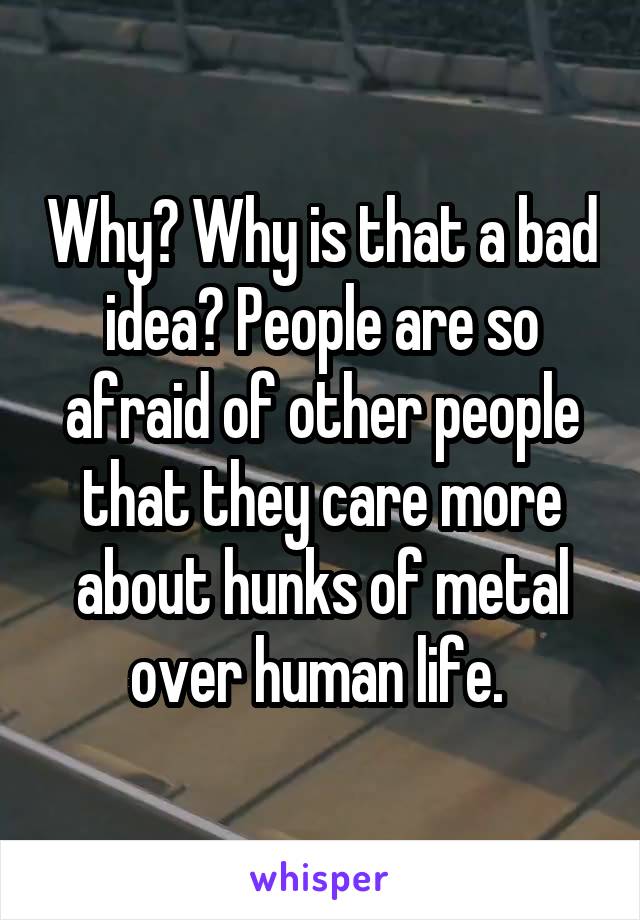 Why? Why is that a bad idea? People are so afraid of other people that they care more about hunks of metal over human life. 