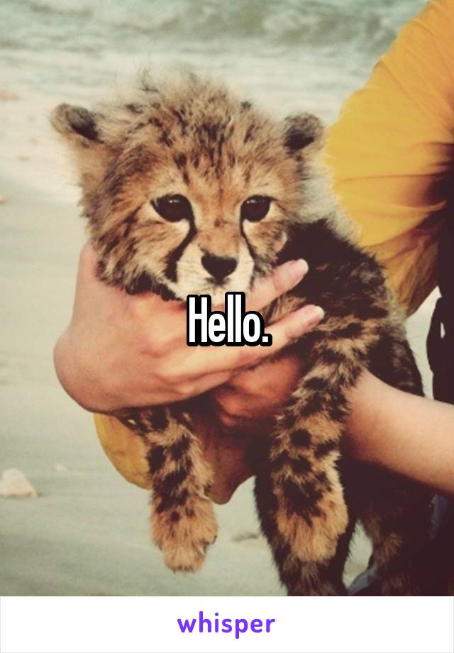 Hello.