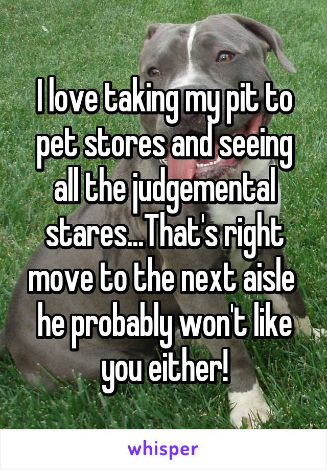 I love taking my pit to pet stores and seeing all the judgemental stares...That's right move to the next aisle  he probably won't like you either!