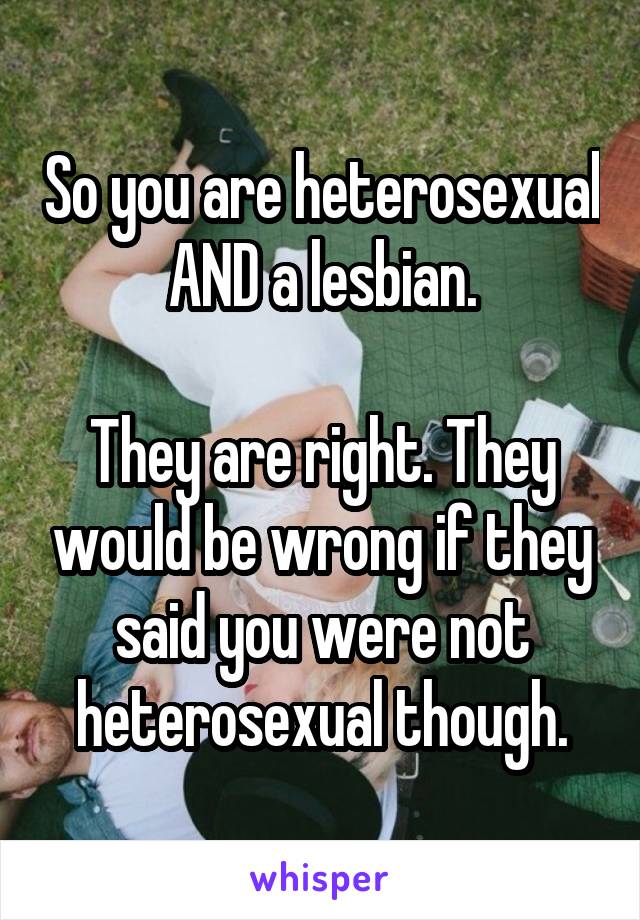 So you are heterosexual AND a lesbian.

They are right. They would be wrong if they said you were not heterosexual though.