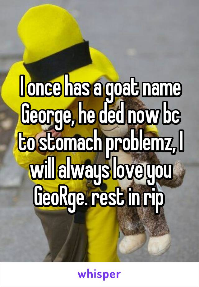 I once has a goat name George, he ded now bc to stomach problemz, I will always love you GeoRge. rest in rip 