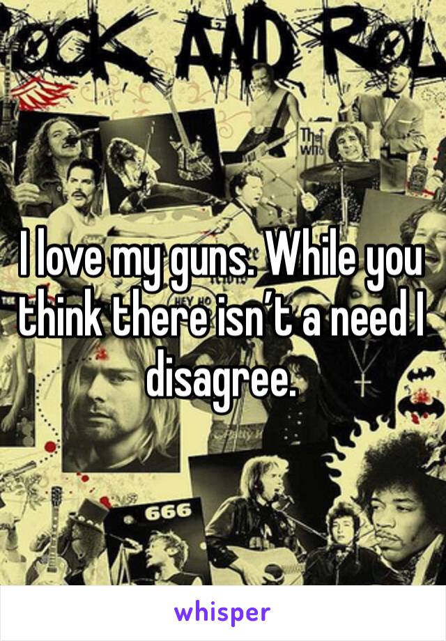 I love my guns. While you think there isn’t a need I disagree. 