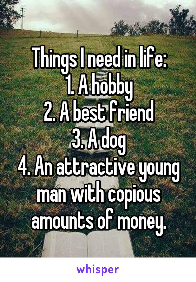 Things I need in life:
1. A hobby
2. A best friend
3. A dog
4. An attractive young man with copious amounts of money.