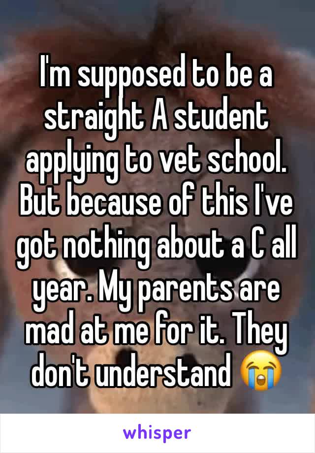 I'm supposed to be a straight A student applying to vet school. But because of this I've got nothing about a C all year. My parents are mad at me for it. They don't understand 😭