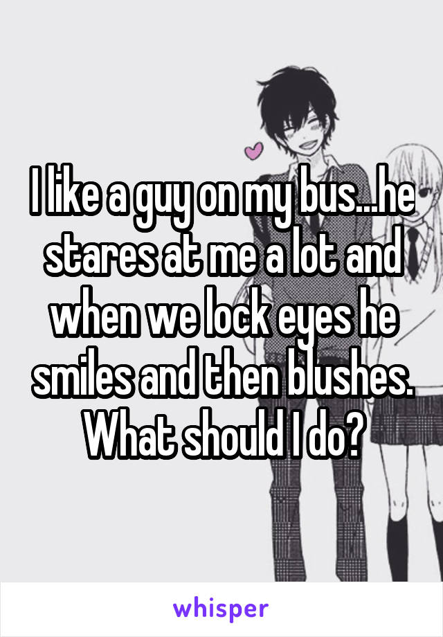 I like a guy on my bus...he stares at me a lot and when we lock eyes he smiles and then blushes. What should I do?