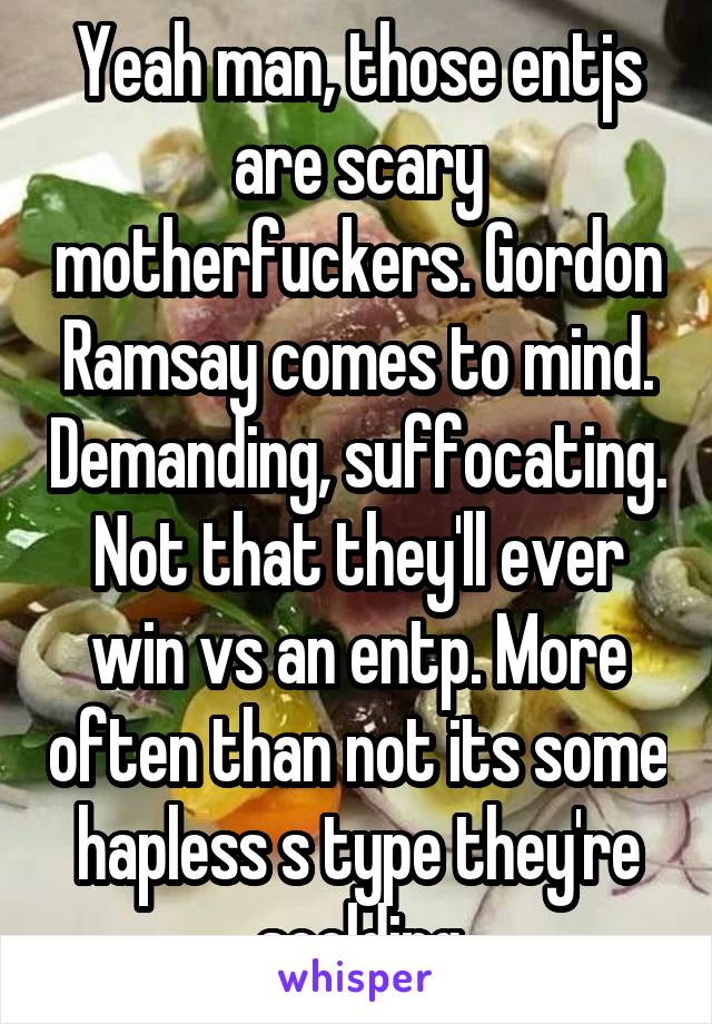 Yeah man, those entjs are scary motherfuckers. Gordon Ramsay comes to mind. Demanding, suffocating. Not that they'll ever win vs an entp. More often than not its some hapless s type they're scolding