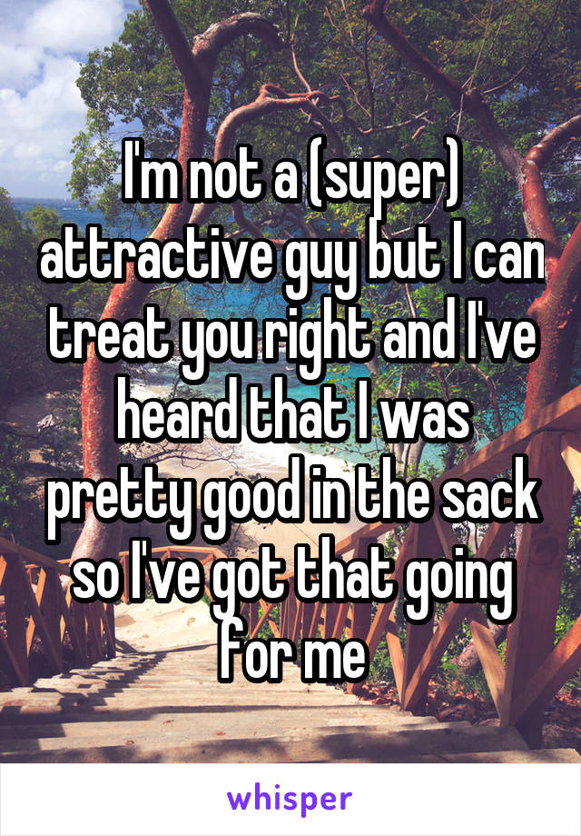 I'm not a (super) attractive guy but I can treat you right and I've heard that I was pretty good in the sack so I've got that going for me