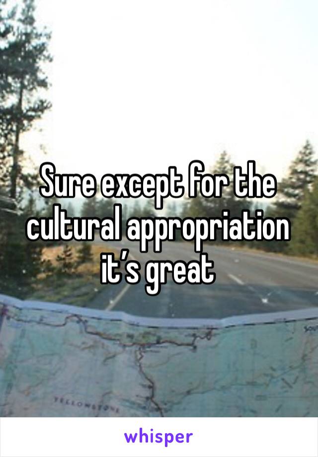 Sure except for the cultural appropriation it’s great