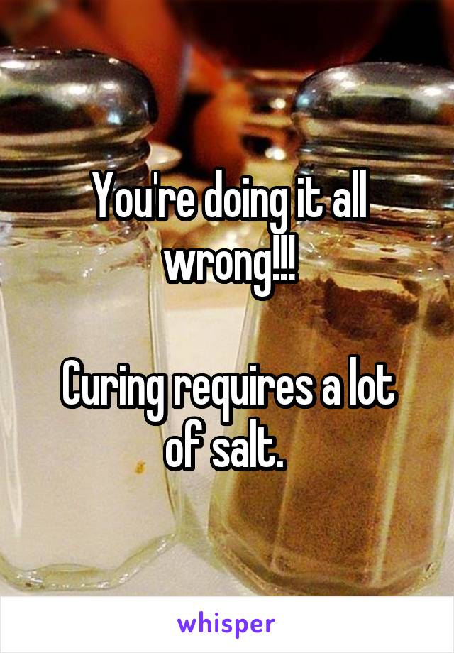 You're doing it all wrong!!!

Curing requires a lot of salt. 