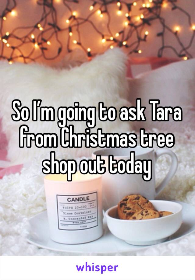 So I’m going to ask Tara from Christmas tree shop out today 