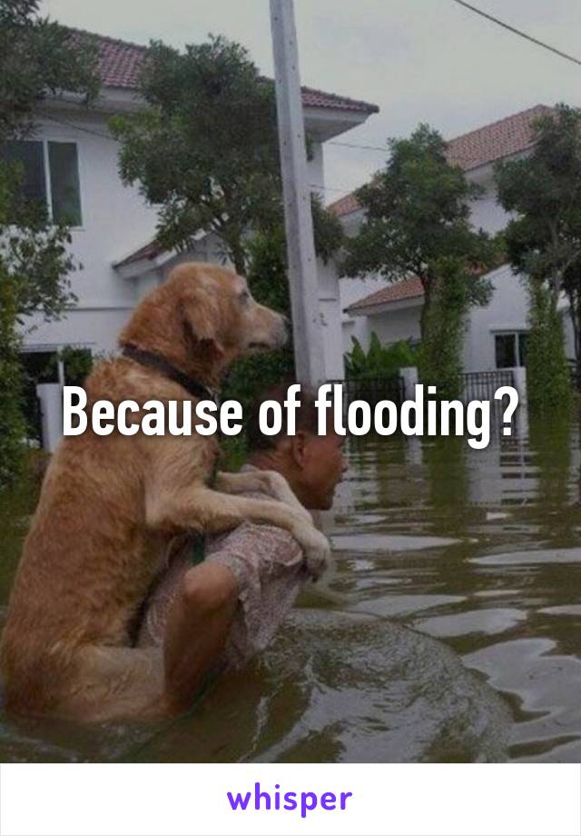 Because of flooding?