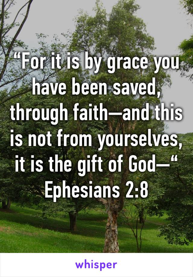 “For it is by grace you have been saved, through faith—and this is not from yourselves, it is the gift of God—“
Ephesians 2:8