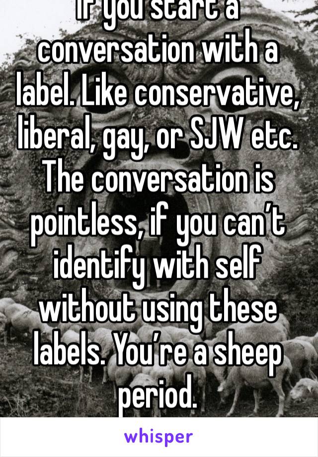 If you start a conversation with a label. Like conservative, liberal, gay, or SJW etc. The conversation is pointless, if you can’t identify with self without using these labels. You’re a sheep period.