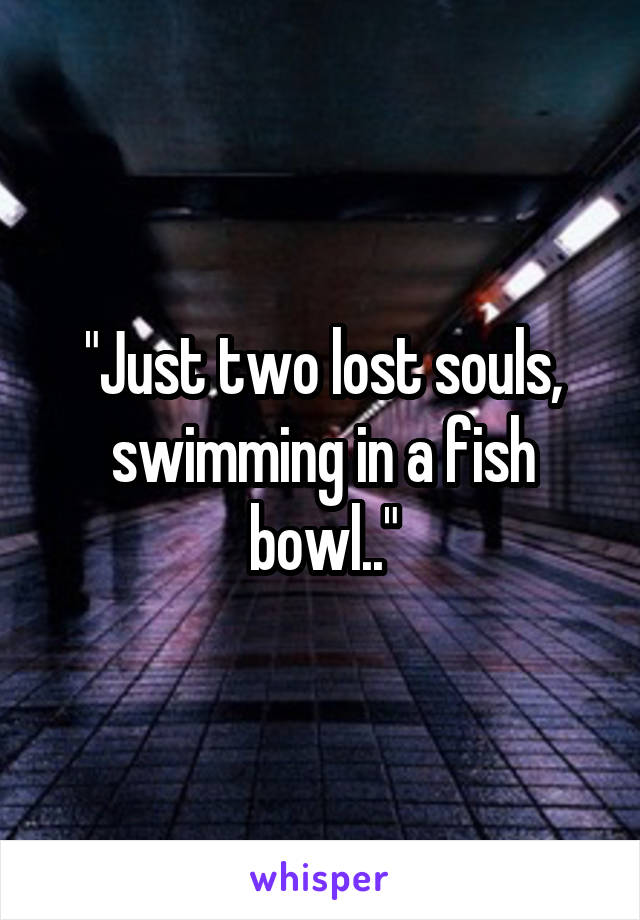 "Just two lost souls, swimming in a fish bowl.."