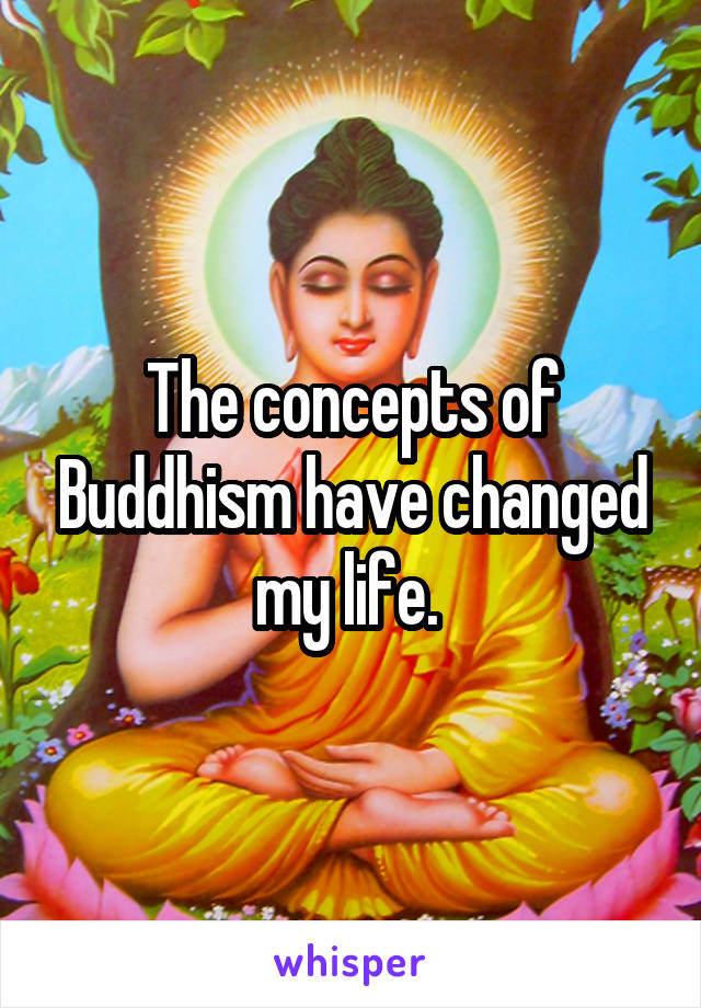 The concepts of Buddhism have changed my life. 