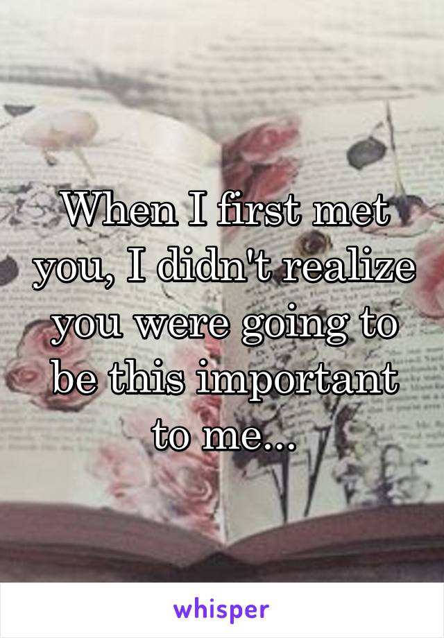 When I first met you, I didn't realize you were going to be this important to me...