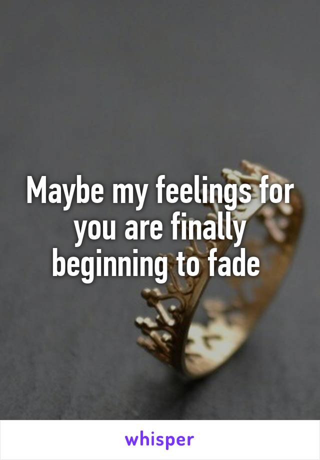 Maybe my feelings for you are finally beginning to fade 