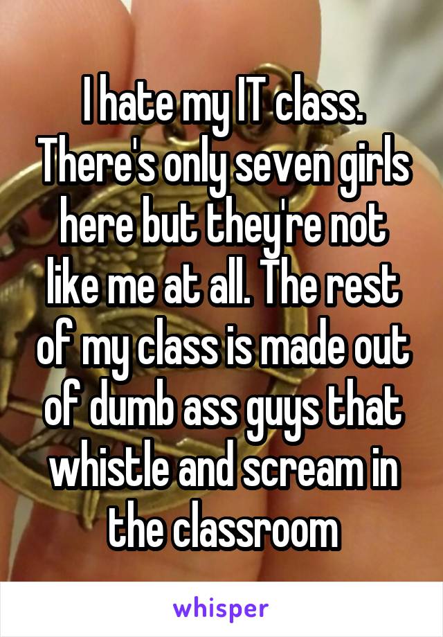 I hate my IT class. There's only seven girls here but they're not like me at all. The rest of my class is made out of dumb ass guys that whistle and scream in the classroom