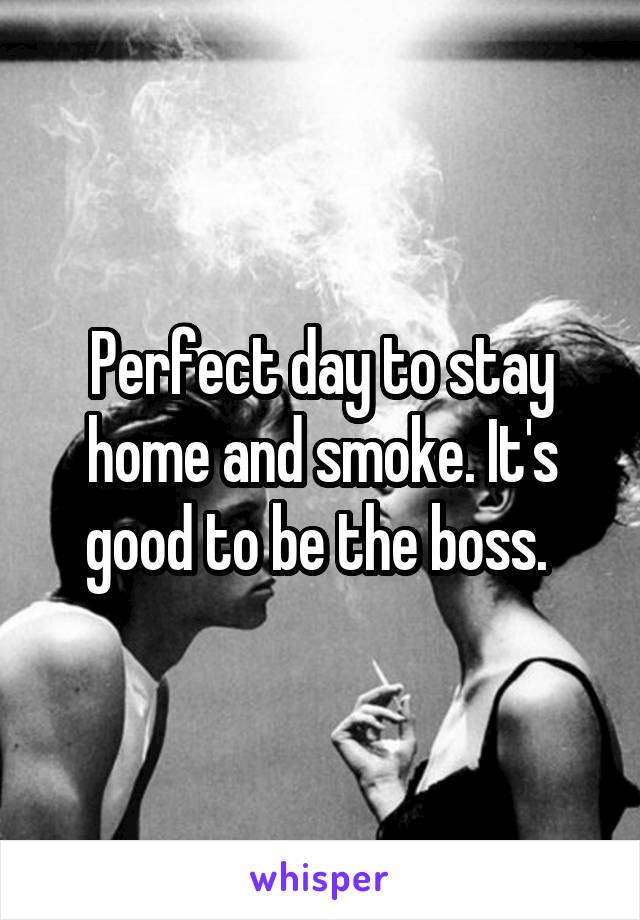 Perfect day to stay home and smoke. It's good to be the boss. 