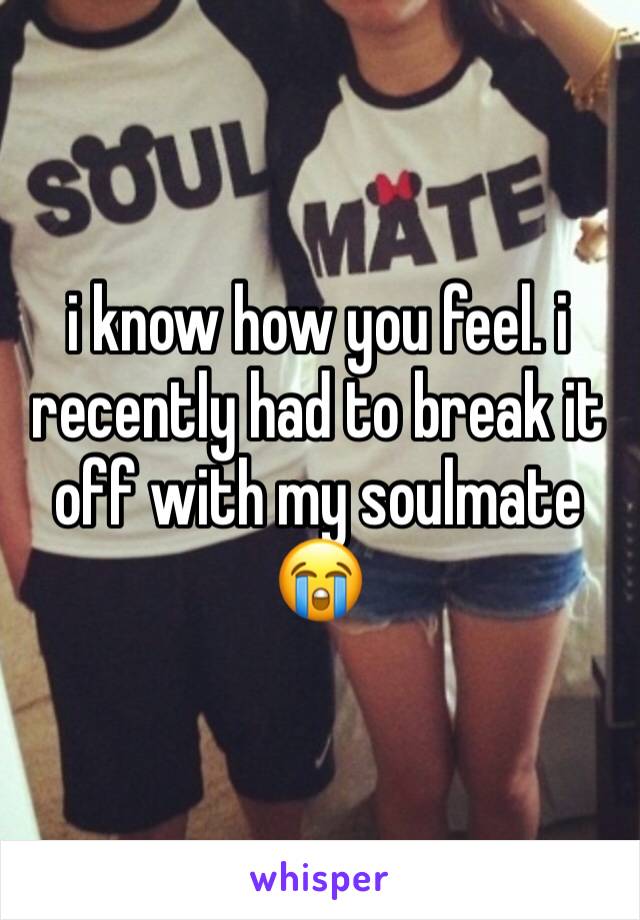 i know how you feel. i recently had to break it off with my soulmate 😭