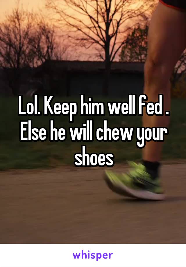 Lol. Keep him well fed . Else he will chew your shoes