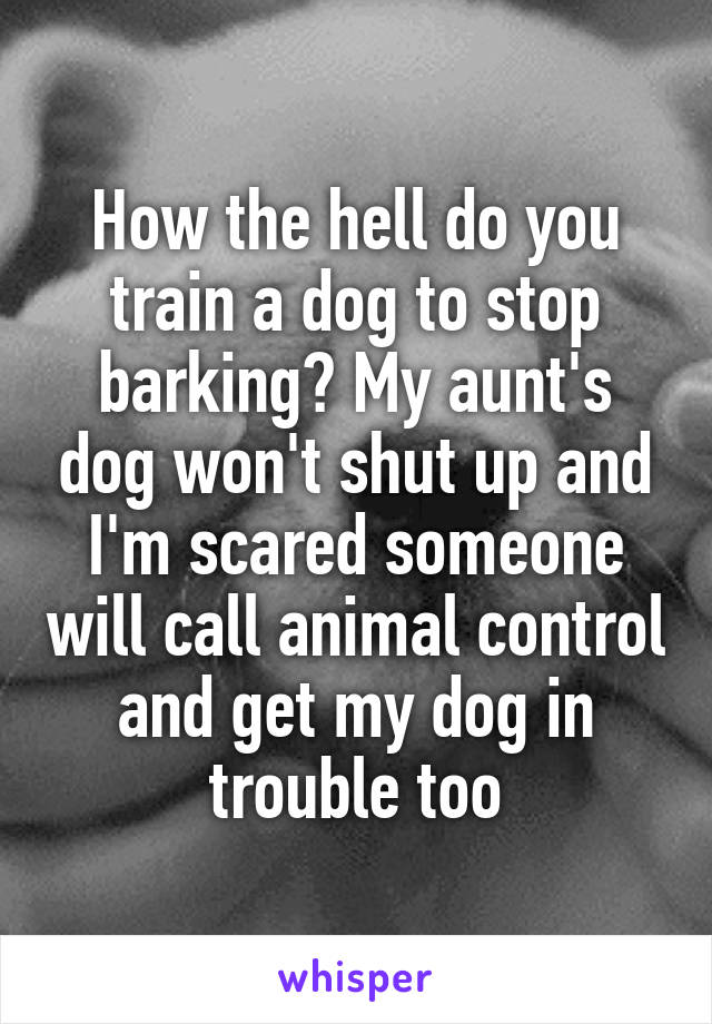How the hell do you train a dog to stop barking? My aunt's dog won't shut up and I'm scared someone will call animal control and get my dog in trouble too