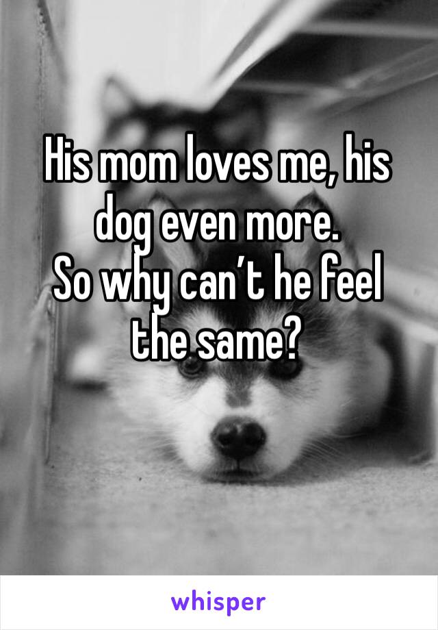 His mom loves me, his dog even more. 
So why can’t he feel the same?