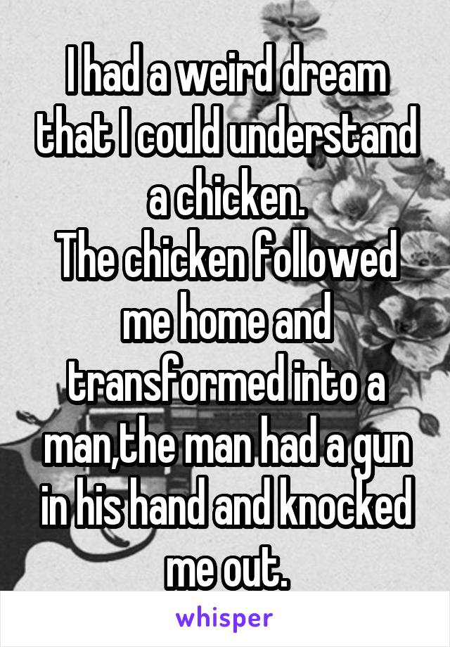 I had a weird dream that I could understand a chicken.
The chicken followed me home and transformed into a man,the man had a gun in his hand and knocked me out.
