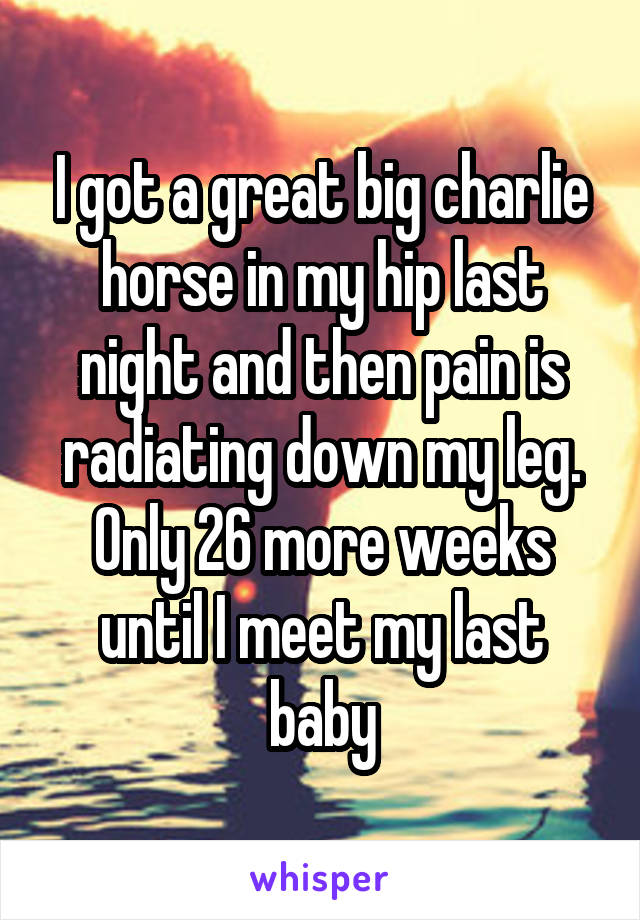 I got a great big charlie horse in my hip last night and then pain is radiating down my leg. Only 26 more weeks until I meet my last baby