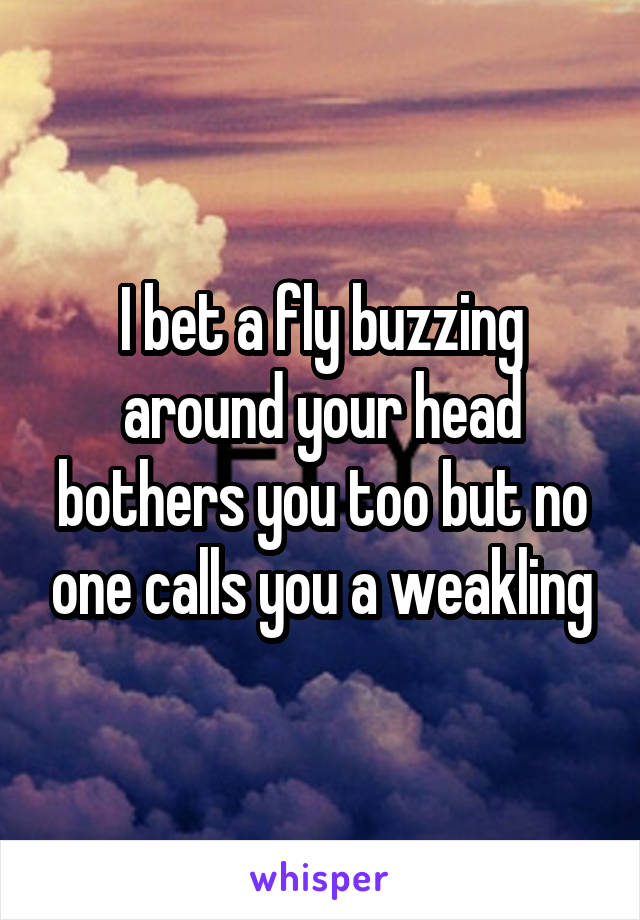 I bet a fly buzzing around your head bothers you too but no one calls you a weakling