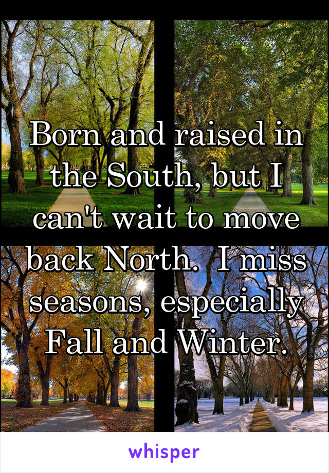 Born and raised in the South, but I can't wait to move back North.  I miss seasons, especially Fall and Winter.
