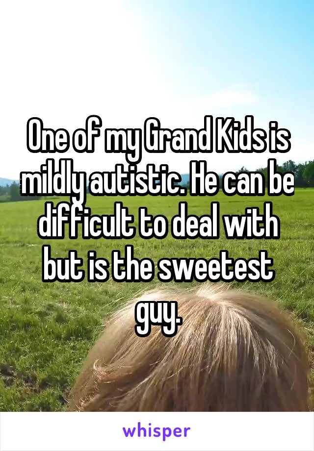 One of my Grand Kids is mildly autistic. He can be difficult to deal with but is the sweetest guy.